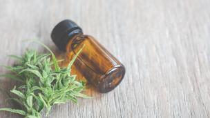 Con la presencia de Matías Kulfas, Diputados avanzó con el proyecto que regula la producción de Cannabis medicinal