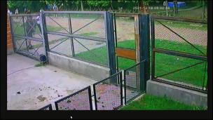 Captura video tiroteo