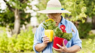 La fascinante experiencia de oler