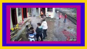 Virales, Paralo Paralo, Chiche Ferro,
