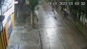 Robaron cuatro caballos