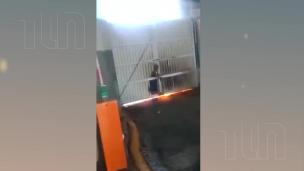 Sociedad, cortes de luz, Edesur,