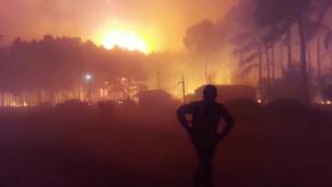 Tragedia ecológica en Corrientes: se quemaron más de 600 mil hectáreas
