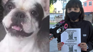 Desesperada búsqueda de Frida: ofrecen $20.000 de recompensa para dar con su paradero