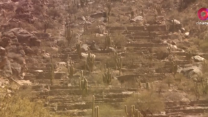 Ruinas de Quilmes: un lugar que esconde magia e historia 