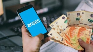 dinero-anses-billetes-bono