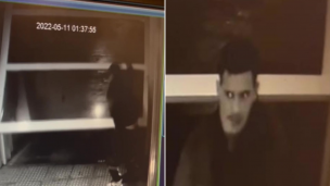 Video | Así roban los "rompe portones" de Flores