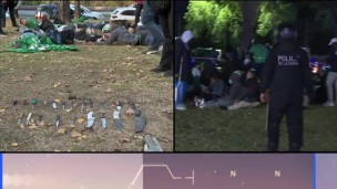 Policiales, barras, barrabravas, Deportivo Cali, delincuentes,