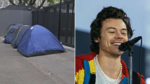 Increíble, pero real: Harry Styles viene a Argentina en diciembre y ya hay fans acampando para verlo