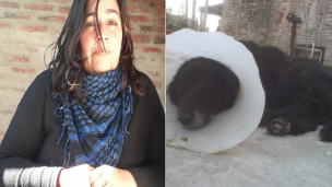 Corrientes: desgarrador último adiós de la dueña del perrito atropellado por una patrulla
