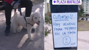 Colegiales: vecinos están en alerta por un envenenador de perros