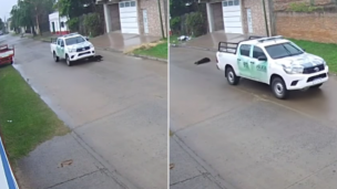 Imágenes sensibles: un patrullero atropelló a un perrito y lo dejó morir en la calle