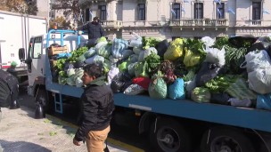 Verdurazo en Plaza de Mayo