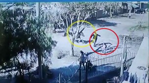 mujer atropellada caballo