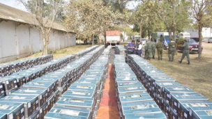 Cocaína en un cargamento de bananas