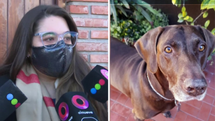 dueña perrita asesinada lola