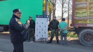 Policiales, robo, piratas del asfalto, pollos, delincuentes, camión, ladrones,
