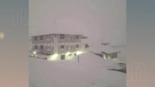 Nevadas