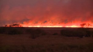Sociedad, incendios, fuego, Santa Fe, Paraná,
