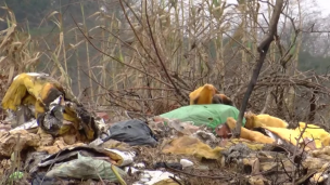 El Pato: vecinos denuncian un basural a cielo abierto que ya ocupa 30 hectáreas