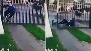 Salvó a su gatito de milagro