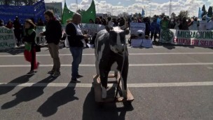Manifestación bloquea el ingreso a Ezeiza