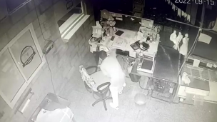 Video | Desvalijaron un frigorífico y se llevaron hasta los salamines