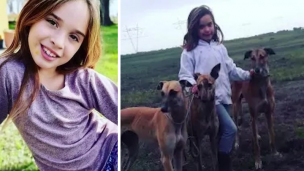 nena atacada jauria perros bolivar