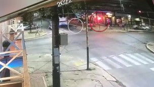 Policiales, muerte, accidente, colectivo, choque, accidente, Lomas de Zamora,