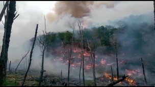 Tierra del Fuego: las llamas arrasaron 1500 hectáreas y preocupa el avance 