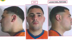 Policiales, crimen de Fernando Báez Sosa, Fernando Báez Sosa, Villa Gesell, Lucas Pertossi,
