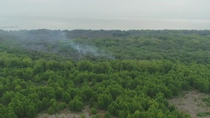 Fuego en la reserva ecológica de Costanera Sur