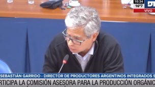 diputados