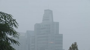 humo 