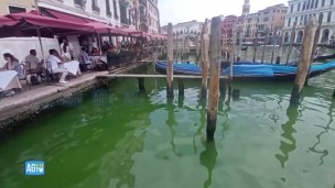 Misterio en Venecia: el Gran Canal está teñido de verde flúo
