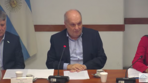 diputados danza
