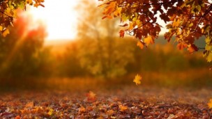 otoño calido