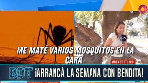 ¡Una nueva invasión de mosquitos pone alerta al país!