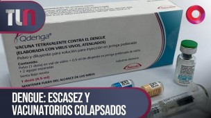 Dengue: escasez y vacunatorios colapsados