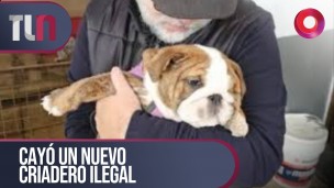 Cayó un  nuevo criadero ilegal