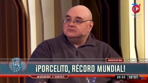 Porcel
