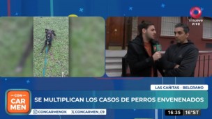 Alerta: perros envenenados