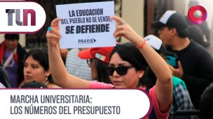 marcha universitaria: los números del presupuesto