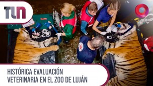 Histórica evaluación veterinaria en el zoo de Luján 