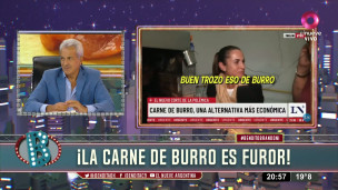 Carne de burro