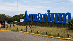 aquarium
