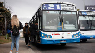 colectivo
