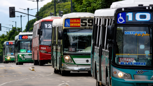 colectivo