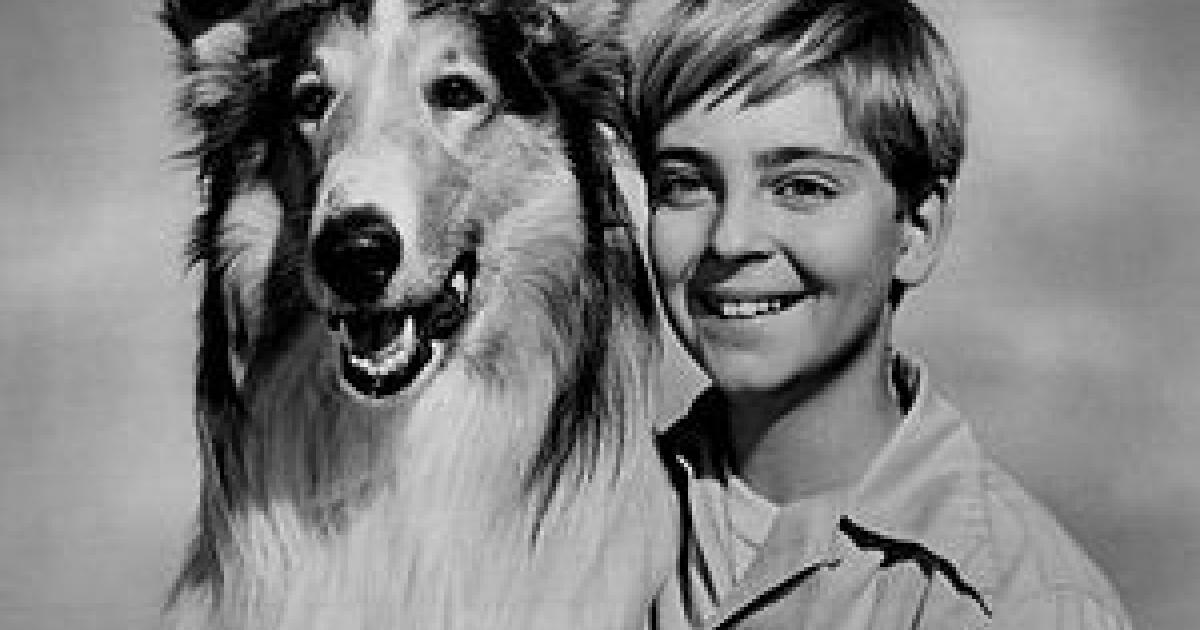 Lassie La Perra Más Famosa Del Mundo Canal 9