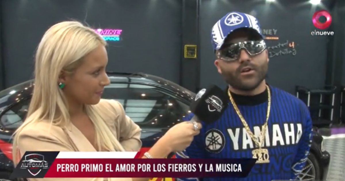 El artista del momento, Perro Primo: 